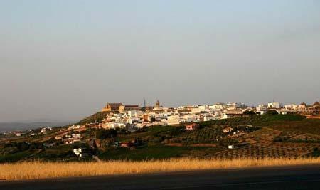 Imagen de Montilla mapa 14550 1 