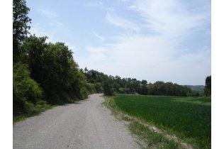 Imagen de Montmaneu mapa 08717 3 