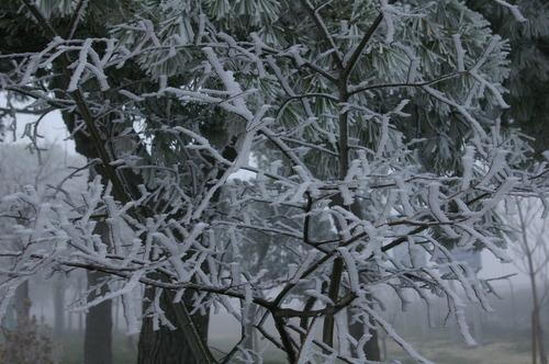 Imagen de Montoliu de Lleida mapa 25172 4 
