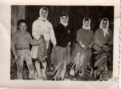 Imagen de Moraleda de Zafayona mapa 18370 2 