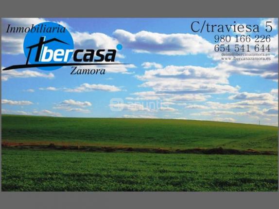 Imagen de Moraleja del Vino mapa 49150 5 