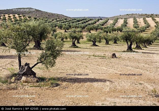 Imagen de Morata de Tajuña mapa 28530 3 