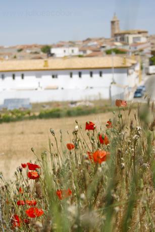 Imagen de Motilleja mapa 02220 3 