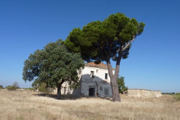 Imagen de Muñopedro mapa 40145 4 