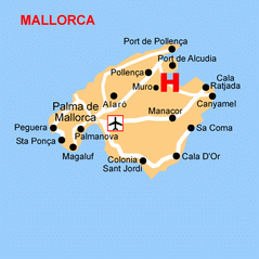 Imagen de Muro mapa 07440 4 