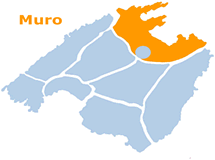 Imagen de Muro mapa 07440 5 