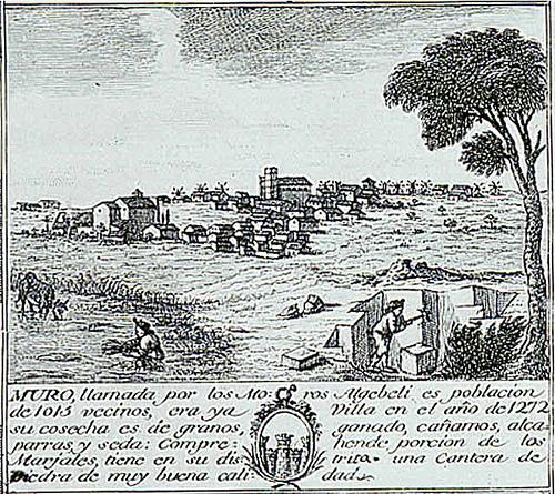 Imagen de Muro mapa 07440 6 