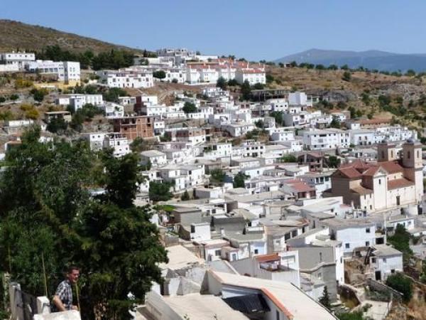 Imagen de Murtas mapa 18490 5 