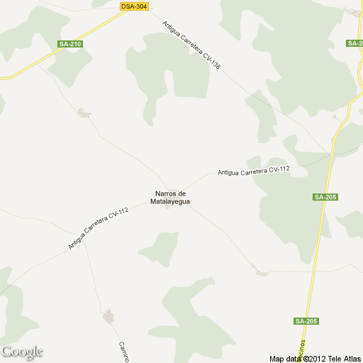 Imagen de Narros de Matalayegua mapa 37609 1 