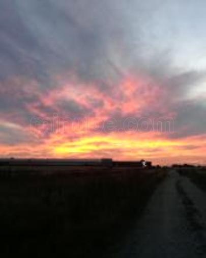 Imagen de Nava de la Asunción mapa 40450 4 