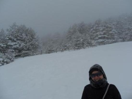 Imagen de Navacerrada mapa 28491 2 