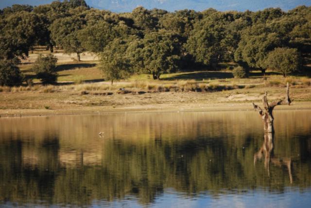 Imagen de Navalcán mapa 45610 4 