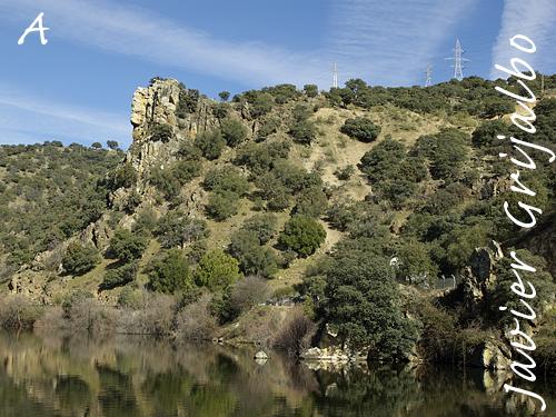 Imagen de Navas del Rey mapa 28695 3 