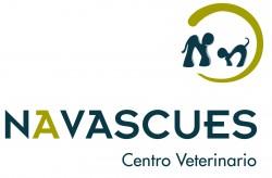 Imagen de Navascués mapa 31450 4 