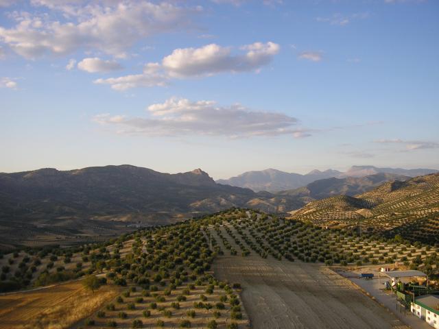 Imagen de Noalejo mapa 23140 3 