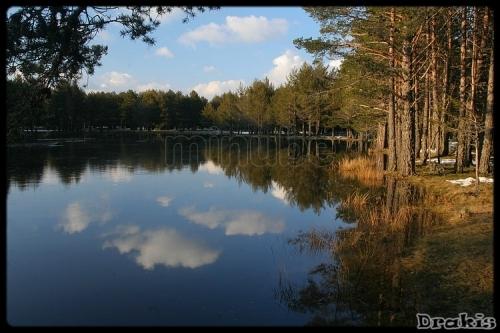 Imagen de Noguera mapa 44113 3 