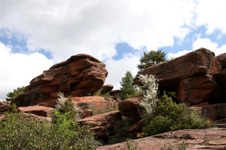 Imagen de Noguera mapa 44113 6 