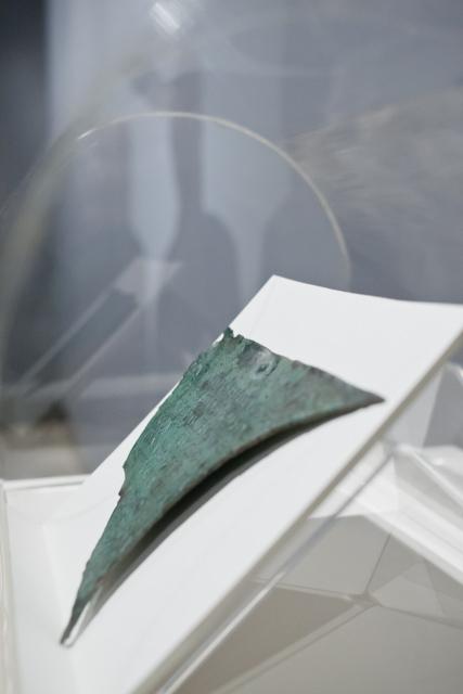 Imagen de Novallas mapa 50510 5 