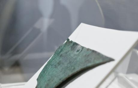 Imagen de Novallas mapa 50510 6 