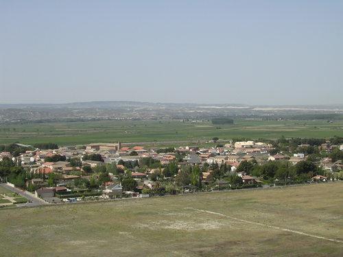 Imagen de Nuez mapa 49516 2 