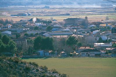 Imagen de Nuez mapa 49516 4 