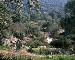 Imagen de Nuño Gómez mapa 45644 3 