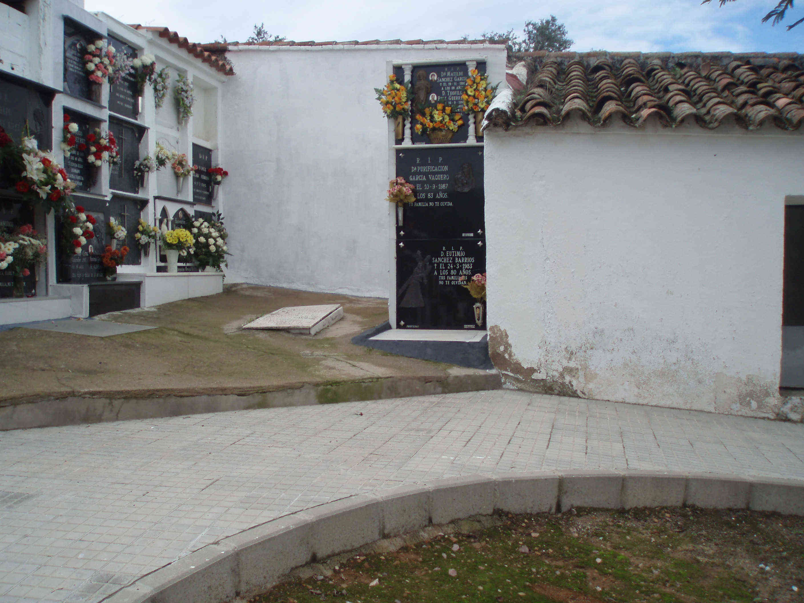 Imagen de Obejo mapa 14310 4 