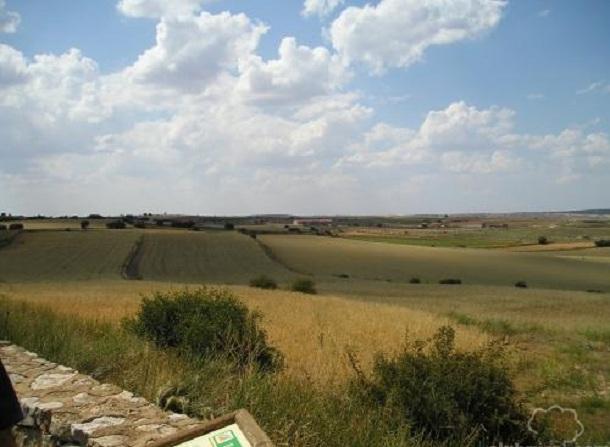 Imagen de Odón mapa 44233 6 