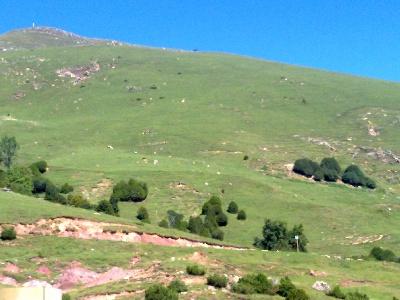 Imagen de Ogassa mapa 17861 1 