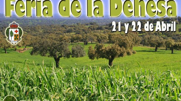 Imagen de Oliva de la Frontera mapa 06120 5 