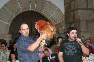 Imagen de Oliva de Plasencia mapa 10667 4 