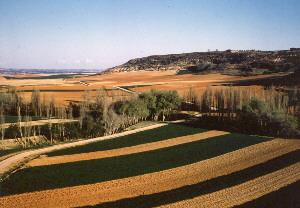 Imagen de Olivares de Júcar mapa 16760 3 