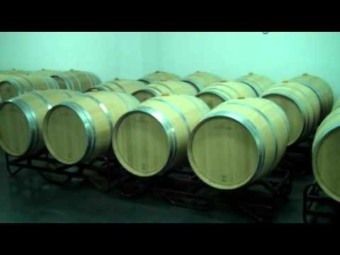 Imagen de Ollauri mapa 26220 6 