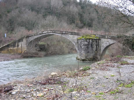 Imagen de Orbara mapa 31671 5 