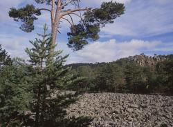 Imagen de Orea mapa 19311 4 