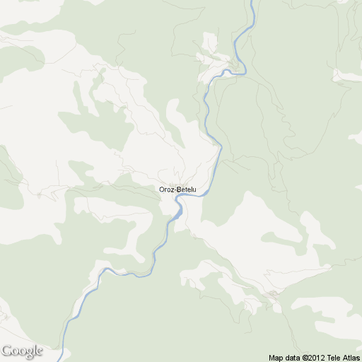 Imagen de Oroz-Betelu mapa 31439 1 