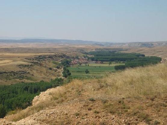 Imagen de Orrios mapa 44161 5 