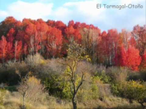 Imagen de Orrios mapa 44161 6 