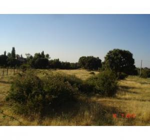 Imagen de Ortigosa del Monte mapa 40421 6 