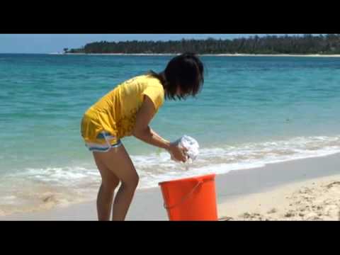 Imagen de Oseja mapa 50258 6 