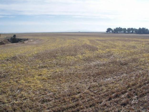 Imagen de Pajares de Adaja mapa 05214 2 