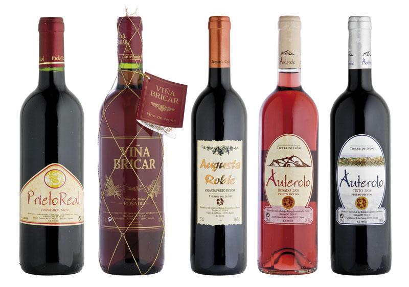 Imagen de Pajares de los Oteros mapa 24209 2 