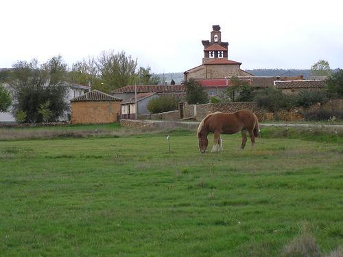 Imagen de Palacios de Jamuz mapa 24767 2 