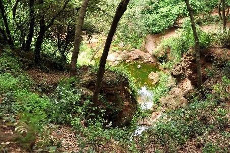 Imagen de Pallejà mapa 08780 3 