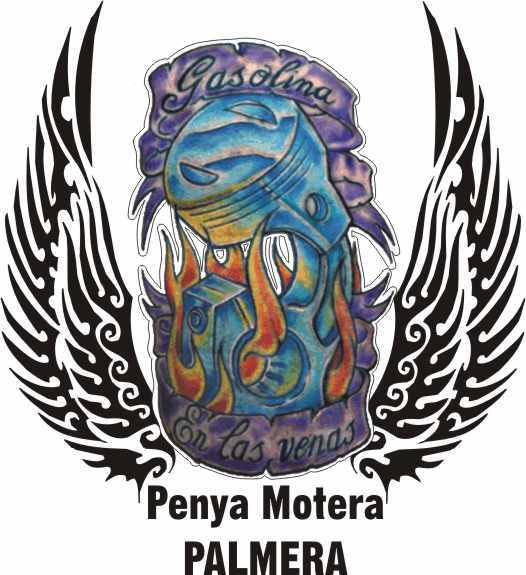 Imagen de Palmera mapa 46714 3 