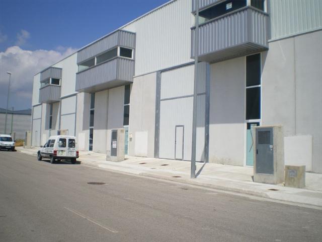 Imagen de Palmera mapa 46714 4 