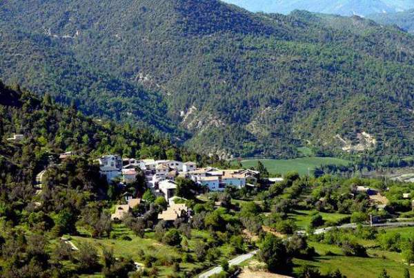 Imagen de Palo mapa 22337 5 