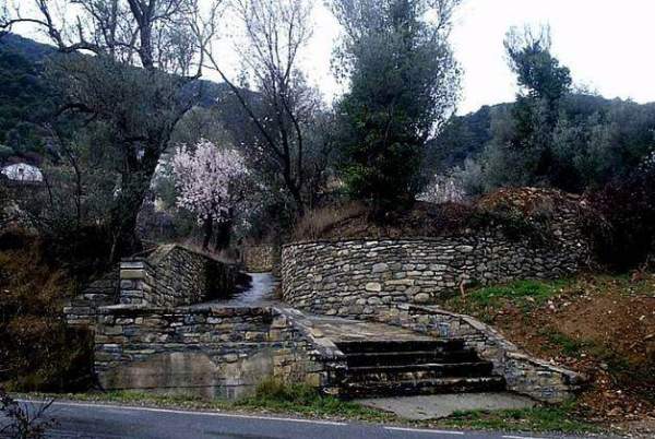 Imagen de Palo mapa 22337 6 