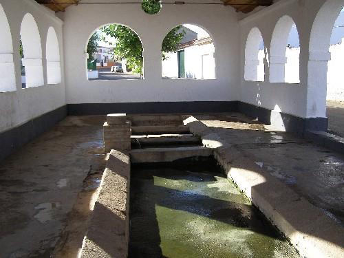 Imagen de Palomas mapa 06476 4 