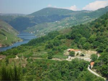 Imagen de Parada de Sil mapa 32740 6 